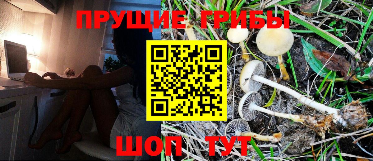 Псилоцибиновые грибы прущие грибы  Галлюциногенные грибы Psilocybe  где можно купить   Калининград  Вход с VPN 